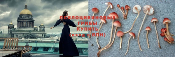 spice Фурманов
