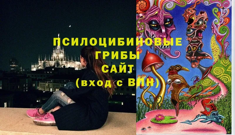 omg зеркало  shop состав  Псилоцибиновые грибы Magic Shrooms  наркота  Каспийск 