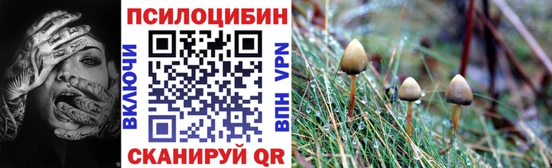 что такое наркотик  Каспийск  кракен маркетплейс  Псилоцибиновые грибы Magic Shrooms 