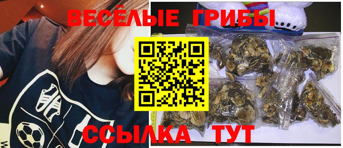 Галлюциногенные грибы ЛСД Каспийск