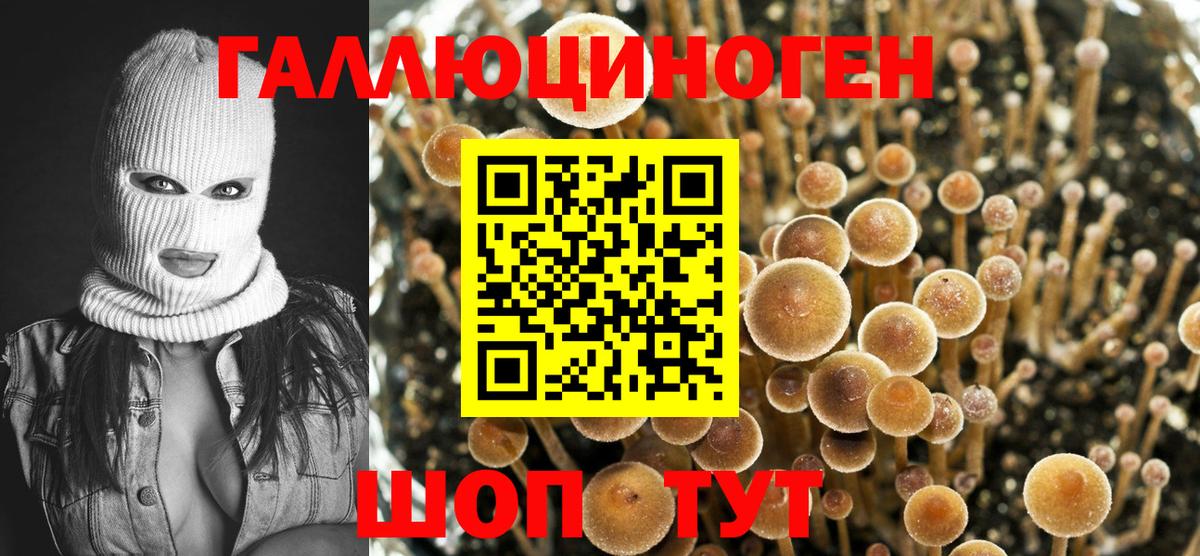 Каспийск  Псилоцибиновые грибы прущие грибы  Вход с VPN 