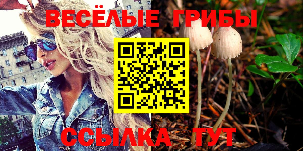 Галлюциногенные грибы прущие грибы  Каспийск  Псилоцибиновые грибы MAGIC MUSHROOMS 